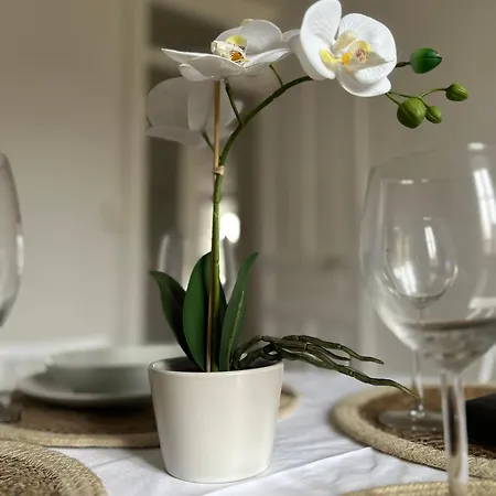 Le Petit Marbre - 10 Min à Pied De La Gare De *